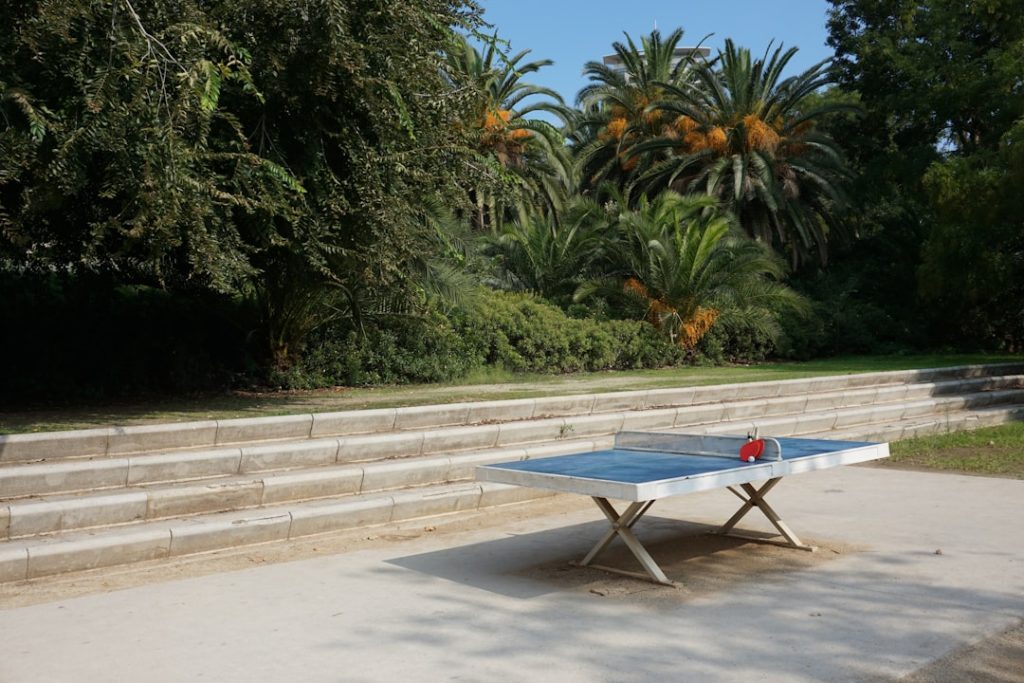 Photo Table tennis game