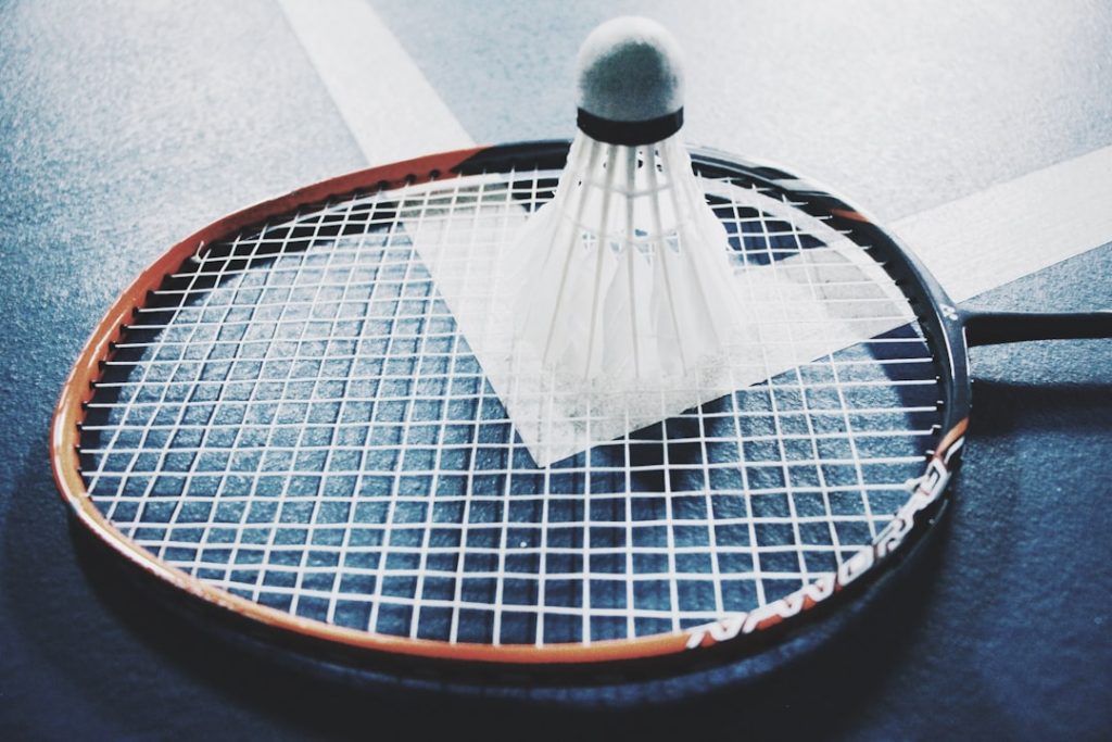 Photo Badminton court