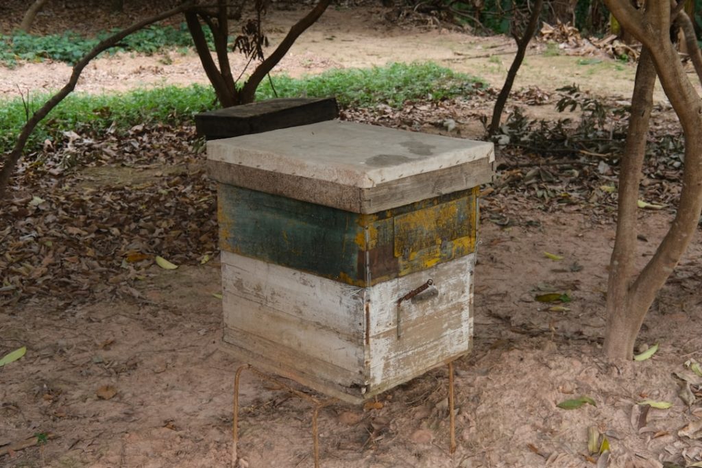 Photo Ballot box